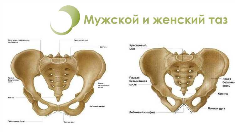 Образование