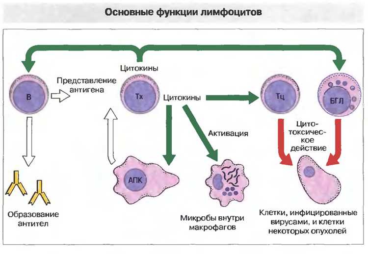 Как подготовить ребенка к сдаче анализов