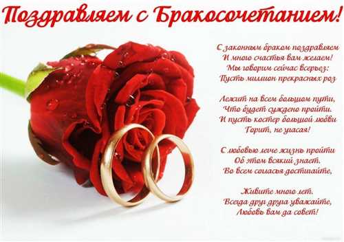 Светлое