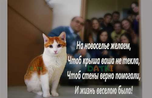 Смех