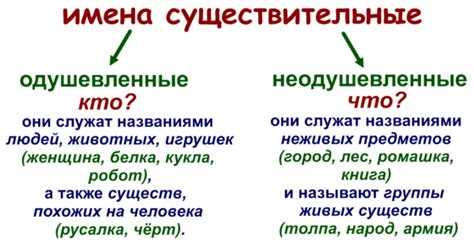 Этимология