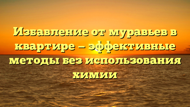 Избавление от муравьев в квартире — эффективные методы без использования химии