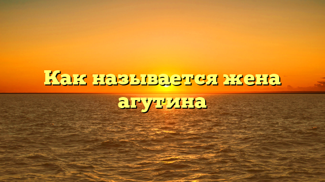 Как называется жена агутина